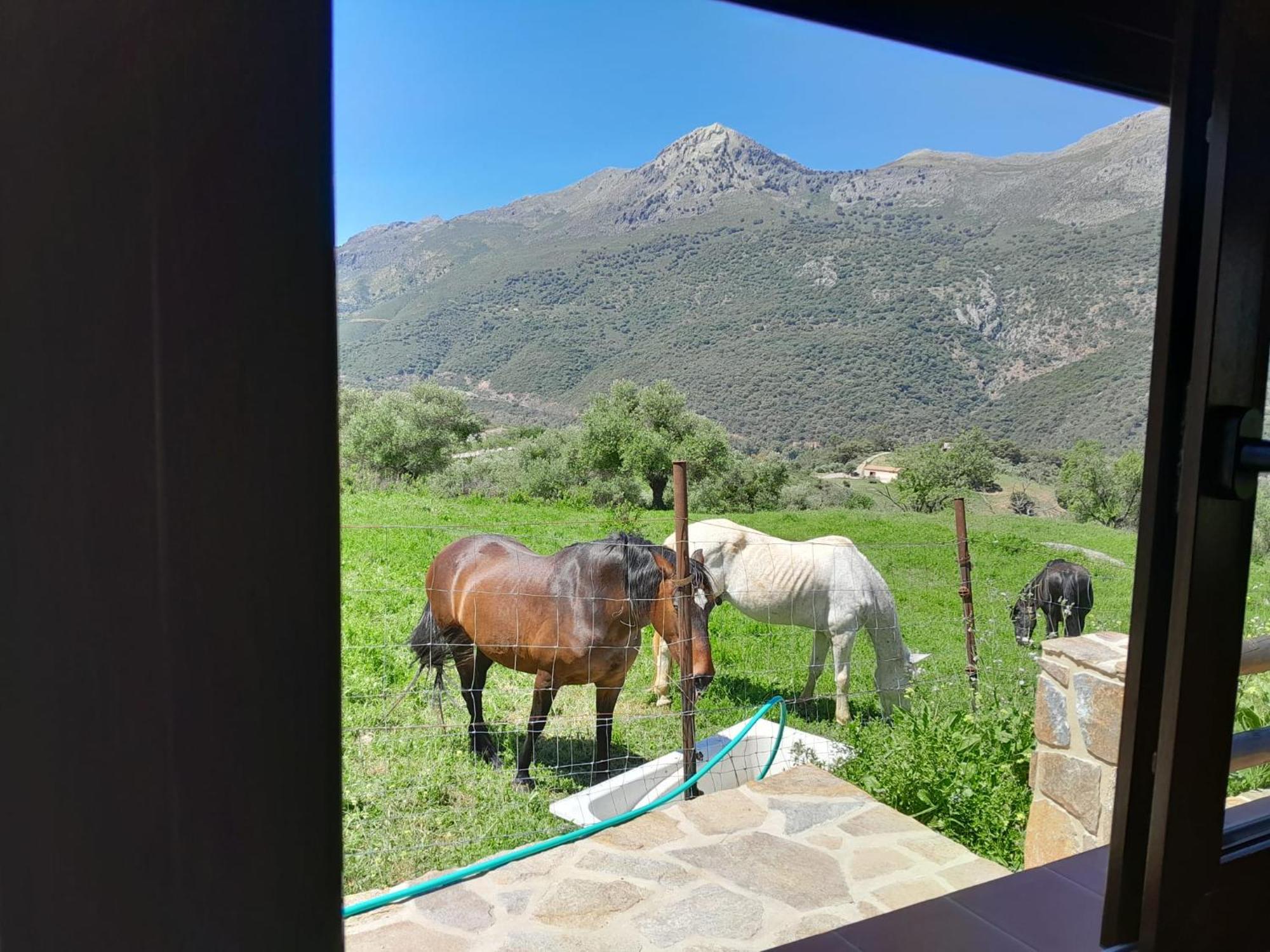 El Higueron Villa Jimera de Líbar Kültér fotó